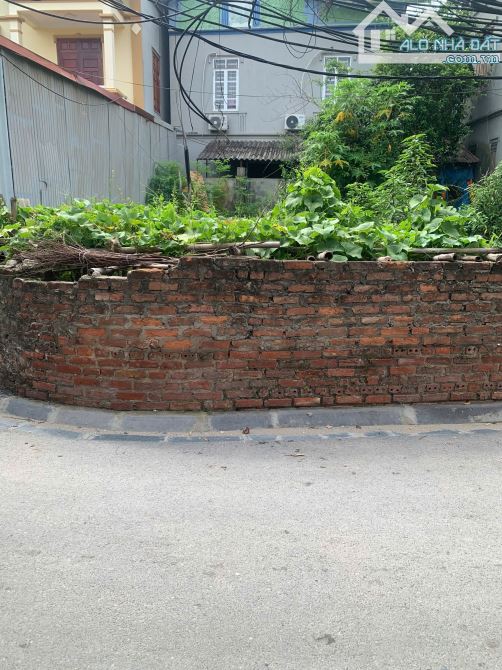 BÁN ĐẤT THỔ CƯ VÕNG LA ĐÔNG ANH - 2