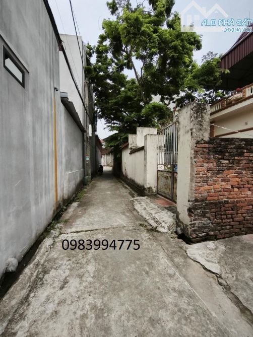 BÁN ĐẤT THUẬN THÀNH, BẮC NINH. 76M2 * MT 6M * 1,65 TỶ. LÔ GÓC, GIÁ ĐẦU TƯ - 2