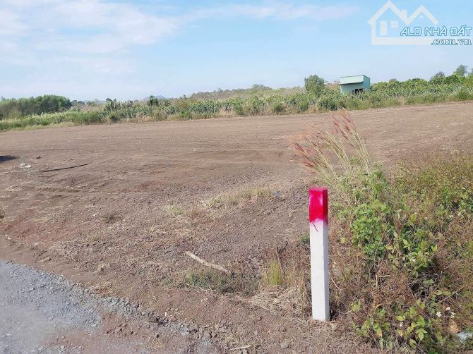 Bán lô đất siêu đẹp sát TP Long Khánh, 5000m2 có 200m2 thổ cư, xây nhà vườn - 2