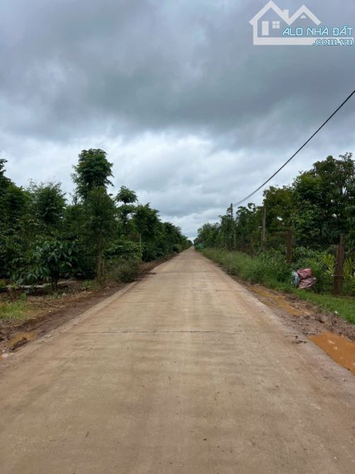 BÁN 3 SÀO SẦU RIÊNG XÃ EATU GIÁ RẺ TP BMT - 4