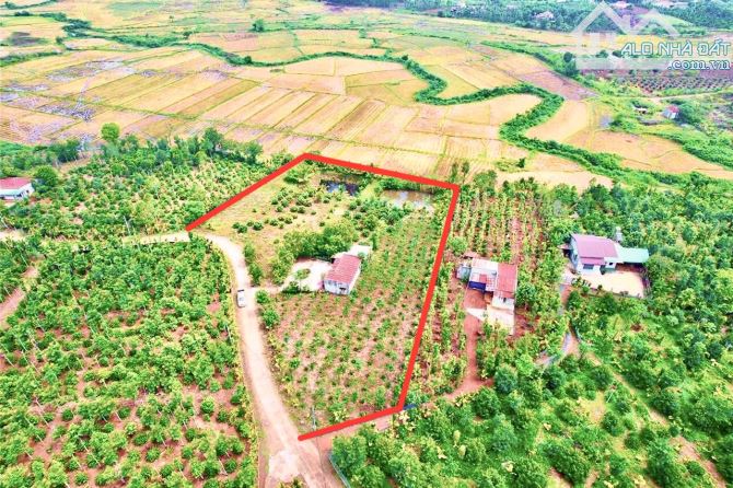 ✨ 5.810M2 (400M2 ONT) MẢNH VƯỜN LÝ TƯỞNG, CÓ VIEW CÁNH ĐỒNG LÚA XANH RÌ + 2 AO CÁ - 2,2 TỶ - 5