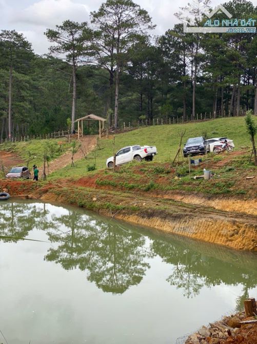 2 HA 7 ĐẤT VIEW NGHĨ DƯỠNG NGAY VÙNG VEN ĐÀ LẠT, CHỈ 7 TỶ 5 - 6
