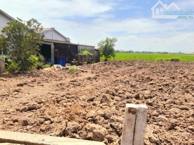 Quá Vip, 102m2 đất thổ cư đường nhựa nguyễn thị lầu chỉ 699tr - 6