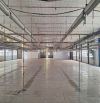 Cho thuê kho xưởng sản xuất 3.000m2 đường Phạm Văn Chiêu, P. 15, Quận Gò Vấp.