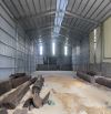 ***Cho thuê kho xưởng mới 1000m2 dựng tại Hoà Lạc, Thạch thất.