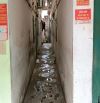 Bán Đất Tặng Dãy Trọ Ngang 8m_141m2 Hẻm Xe Tải Gần Ga Metro_Q12 👉 Hơn 9 Tỷ