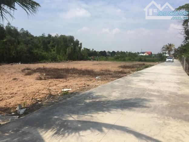 BÁN LÔ ĐẤT ĐẸP THANH LƯƠNG – ĐƯỜNG THÔNG 5M, GẦN KCN – 290 TRIỆU/210M²