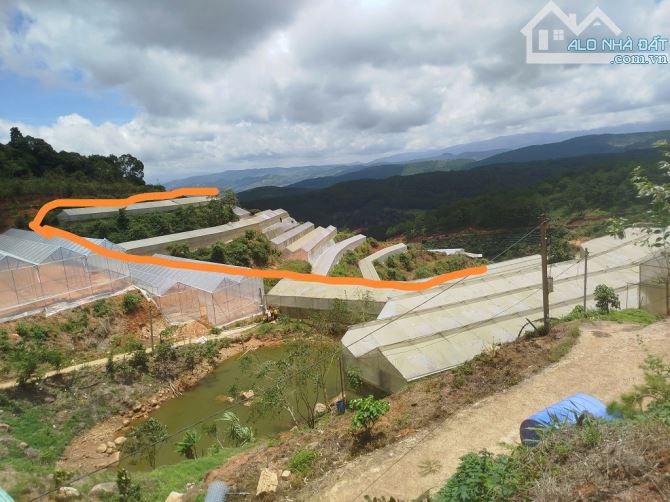 CƠ HỘI TỐT ĐỂ SỞ HƯU NGAY LÔ ĐẤT VỊ TRÍ ĐẸP- KHẢ NĂNG SINH LỜI CAO