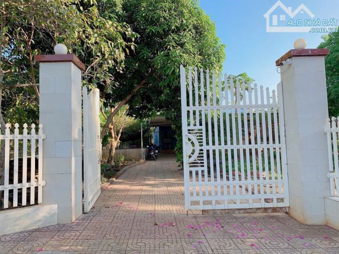 Bán khoảng 6 sào 1 (6115m2) đất Đá Bạc, huyện Châu Đức, BRVT. - 10