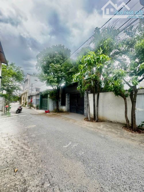 D224 BÁN LÔ ĐẤT THỔ CƯ THUỘC KP3 TRẢNG DÀI - BIÊN HOÀ .  -------------------- - 1
