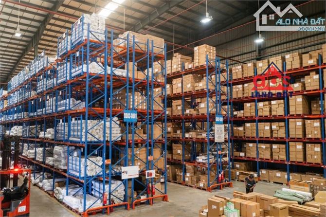 XT318 cho thuê kho bãi dịch vụ hậu cần logistic, bàn giao kho liền, Kết cấu hiện đại - 1