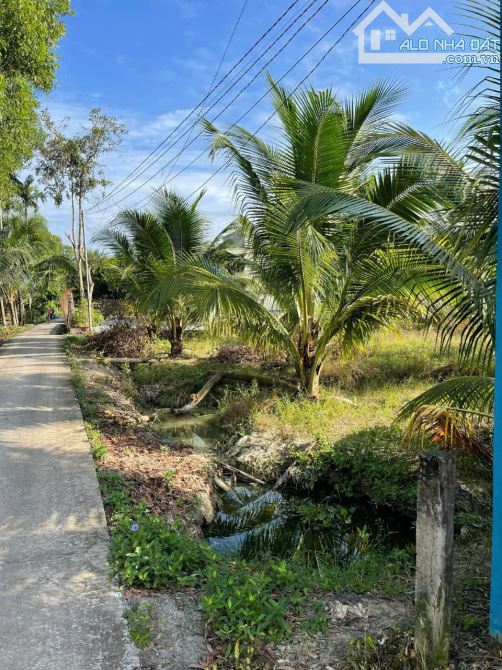 CẦN BÁN ĐẤT HỮU ĐỊNH CHÂU THÀNH BẾN TRE - 1