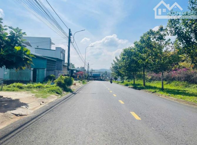 Bán đất 100m2 mặt tiền Nguyễn Tuân ngay ĐH Tôn Đức Thắng Tp Bảo Lộc - 1