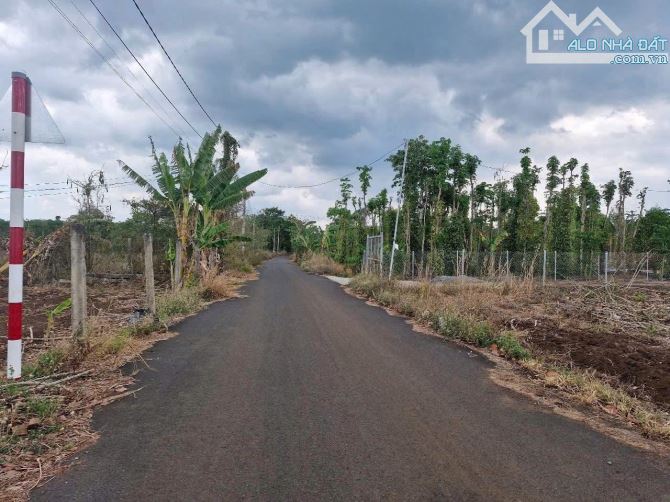 Bán khoảng 4 sào 7 (4717m2) đất Đá Bạc, huyện Châu Đức, BRVT. - 1