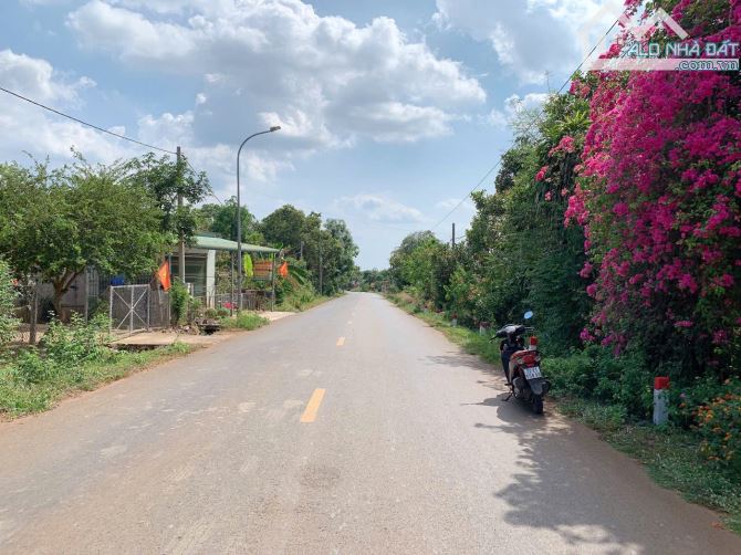 Bán khoảng 4 sào 5 (4506m2) đất Xà Bang, huyện Châu Đức, BRVT. - 1