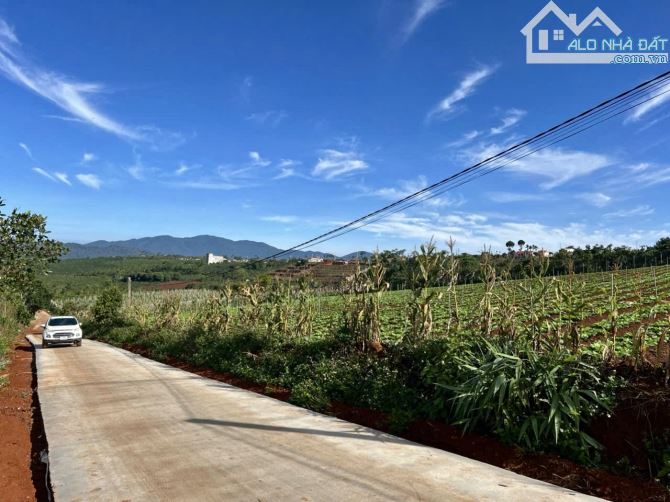 ✨ DIỆN TÍCH: 1.018M2 (200M2 THỔ CƯ), Ngang 20.5M Mặt đường BÊ TÔNG 5M sạch đẹp - 919 TRIỆU - 1
