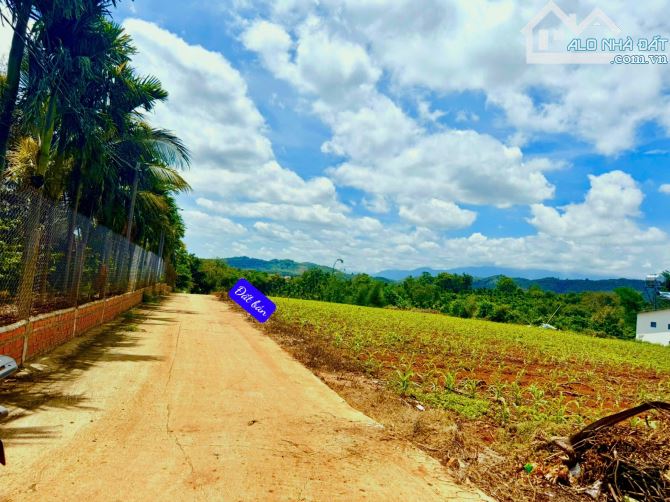 👊 Đất đẹp cần bán 5x32 có thổ cư ở Ea Hú, CưKuin , Đaklak - 13