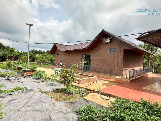 NHÀ VƯỜN VIEW HỒ – FULL THỔ CƯ 4000m² – KM12 HOÀ ĐÔNG, KRÔNG PĂK 💥 Diện tích: 4000m² - 14