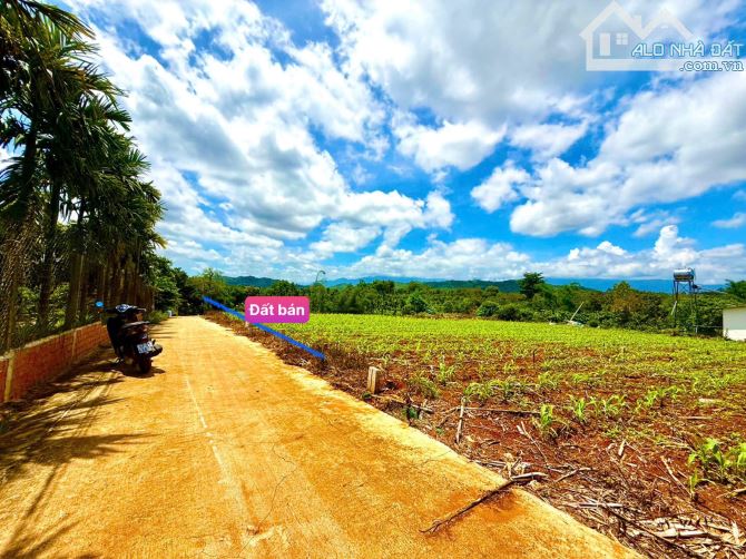 👊 Đất đẹp cần bán 5x32 có thổ cư ở Ea Hú, CưKuin , Đaklak - 14