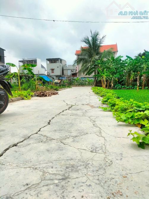 Chính chủ gửi bán lô đất 72m2 trung tâm phường Hoàng Lâm - 2
