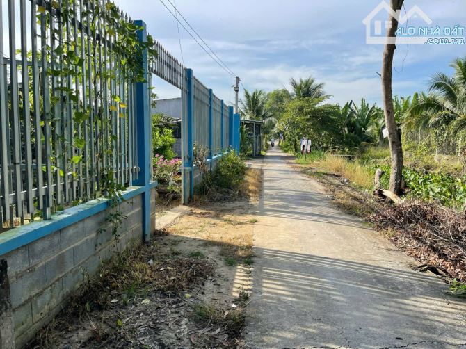 CẦN BÁN ĐẤT HỮU ĐỊNH CHÂU THÀNH BẾN TRE - 2