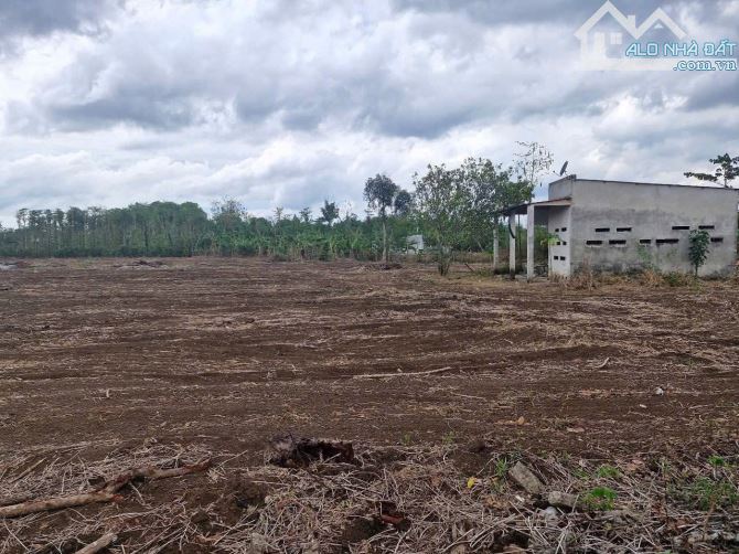 Bán khoảng 4 sào 7 (4717m2) đất Đá Bạc, huyện Châu Đức, BRVT. - 2