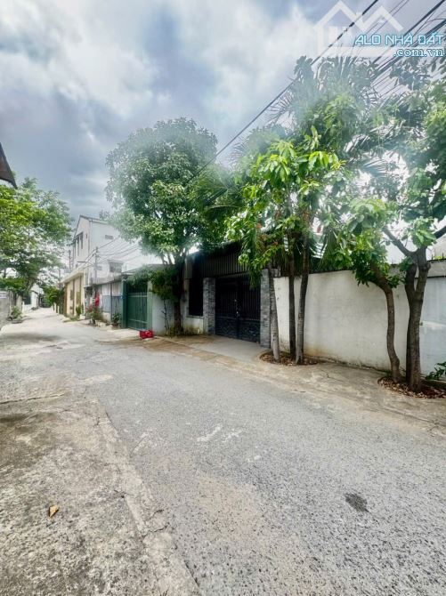 D224 BÁN LÔ ĐẤT THỔ CƯ THUỘC KP3 TRẢNG DÀI - BIÊN HOÀ .  -------------------- - 3