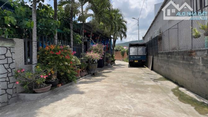 Đất Diên Lạc sát Tỉnh Lộ 2 và đường D6 Xóm Mới đường ô tô chỉ 1tỷ850 - 3