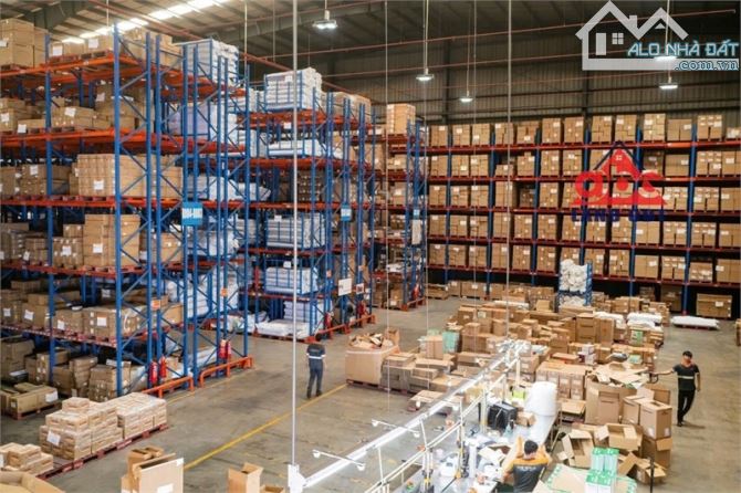 XT318 cho thuê kho bãi dịch vụ hậu cần logistic, bàn giao kho liền, Kết cấu hiện đại - 3