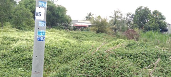 Bán lô đất full thổ cư, Đức Hòa Long An gần Vin Hậu Nghĩa giá cực rẻ - 3