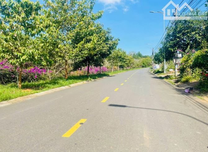Bán đất 100m2 mặt tiền Nguyễn Tuân ngay ĐH Tôn Đức Thắng Tp Bảo Lộc - 3