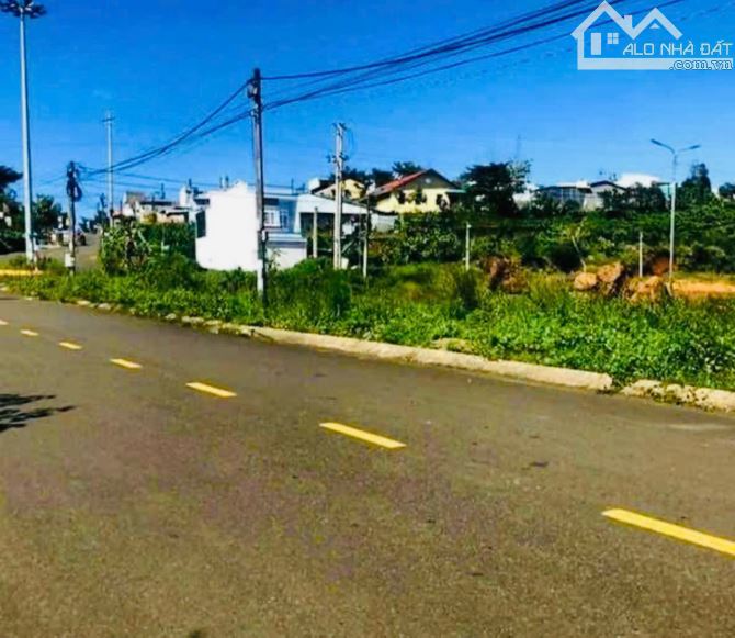Bán đất 100m2 mặt tiền Nguyễn Tuân ngay ĐH Tôn Đức Thắng Tp Bảo Lộc - 4