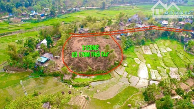 3125m Có 178m Đất Ở - Một Ốc Đảo Cực Đẹp - Bao Quanh Cánh Đồng - Gần Dự Án Cáp Treo Sun - 4