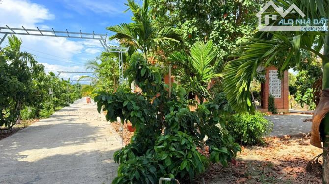 NHÀ VƯỜN LONG MỸ SIÊU ĐẸP - ĐÃ SÁP NHẬP THỊ TRẤN PHƯỚC HẢI  🌈DT 4000M2 - 4