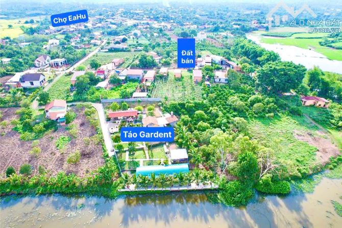 👊 Bán gấp lô 391m2 gần Táo Garden ở Ea Hú, Cư Kuin - 4