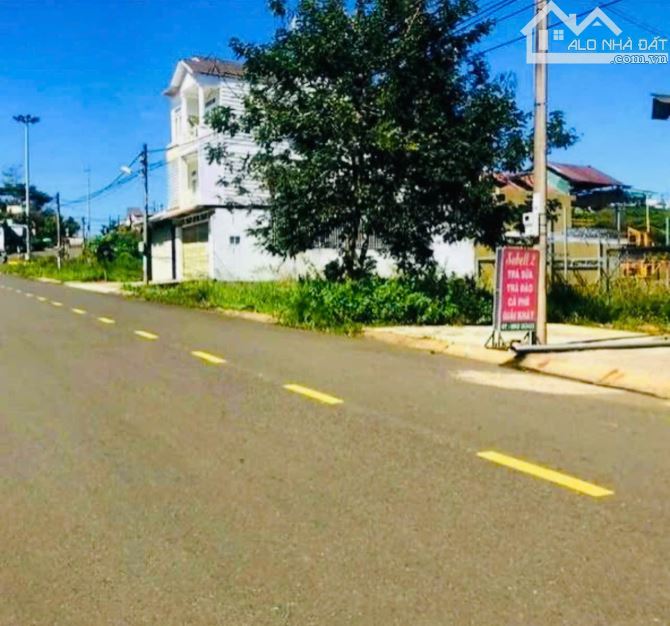 Bán đất 100m2 mặt tiền Nguyễn Tuân ngay ĐH Tôn Đức Thắng Tp Bảo Lộc - 5