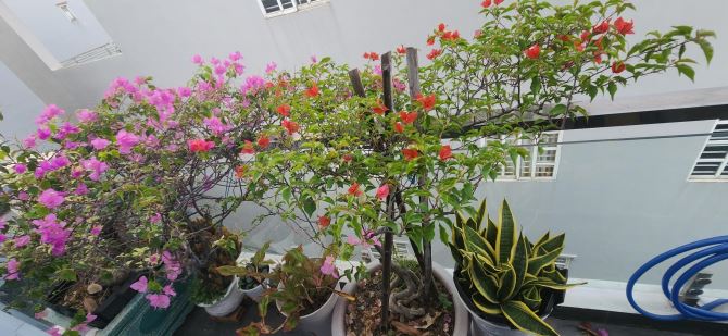 🏡 NHÀ ĐẸP 4 TẦNG BTCT, Ô TÔ ĐỖ CỬA – DƯƠNG CÁT LỢI, 5.3x12M, 4PN – GIÁ CHỈ 6.1 TỶ🔥 - 6