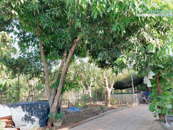 Bán khoảng 6 sào 1 (6115m2) đất Đá Bạc, huyện Châu Đức, BRVT. - 7