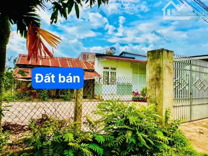 👊 Bán gấp lô 391m2 gần Táo Garden ở Ea Hú, Cư Kuin - 9