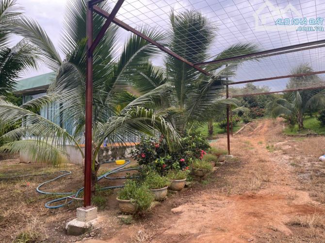 B.án 7300m2.+3000m2 giấy tay. Tc (1 ha). Có 300m2 Thổ Cư. Với 54m Mặt Tiền Đường Bê Tông.