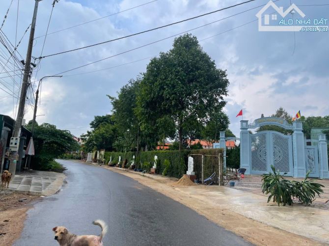 Chủ kẹt tiền cần bán gấp. 4ty hạ 3ty4. Tl 👉 B.án đất góc hai mặt tiền Sông Xoài . Phú Mỹ