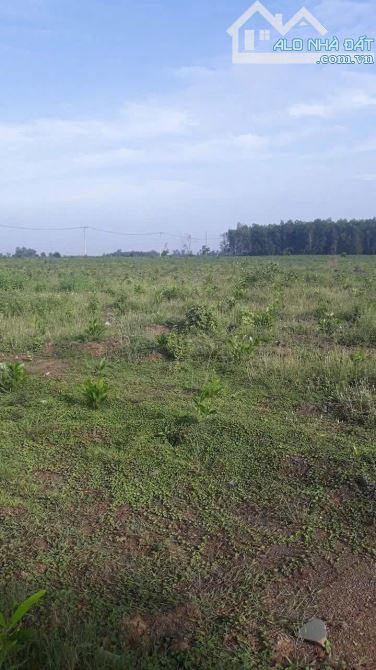 👉 BÁN 31,000m2 (3 mẫu 1 ) quy hoạch đất skc (3 mặt tiền) Khu vực xã hố Nai 3 sát bên kcn