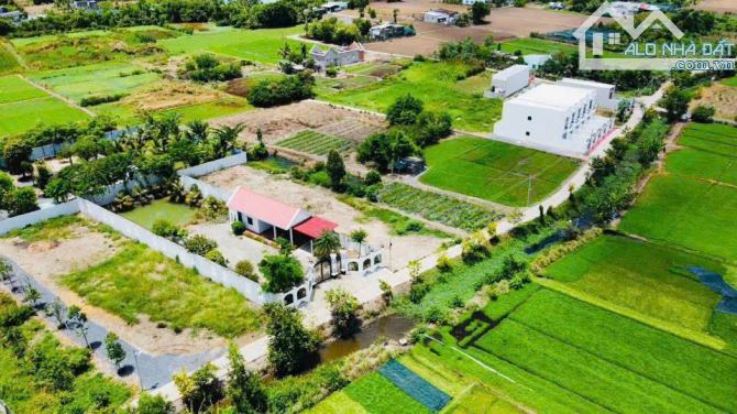 CHÍNH CHỦ GỬI BÁN – ĐẤT THỔ CƯ 303M2 ( 10m x 30,3m ) Giá chỉ 2 TỶ