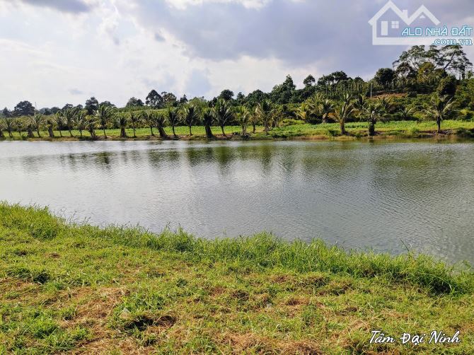 Bán 6.200m2 đất Làng Chùa bám sông Đa Nhim xã Ninh Gia,Đức Trọng,Lâm Đồng,7.2 tỷ TL