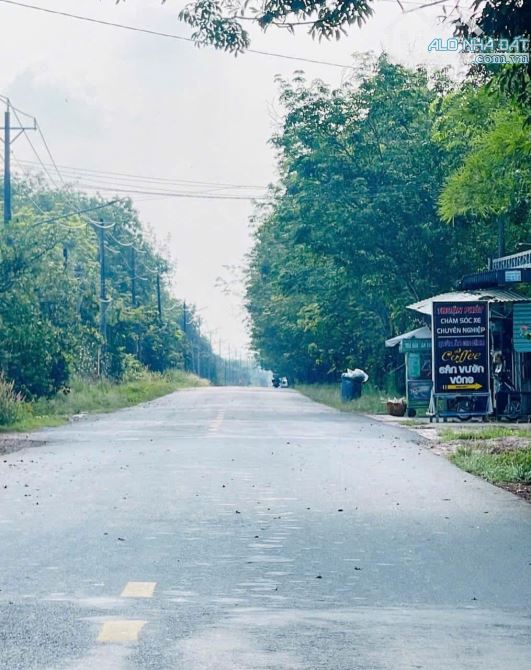 Bán gấp đất mặt tiền nhựa 1000m2 100tc dân đông, thông Đt744 Dh704 giá cực rẻ 7xxtr