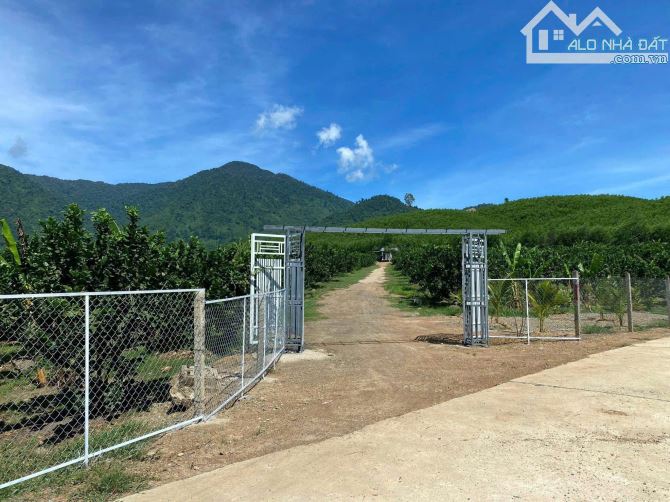 Nhà vườn cực đẹp khánh trung khánh vĩnh