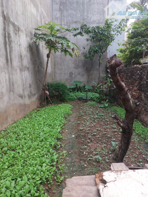 Bán Đất Chuy Huy Mân, Phường Phúc Đồng, Long Biên 50m2, giá 6,2 tỷ