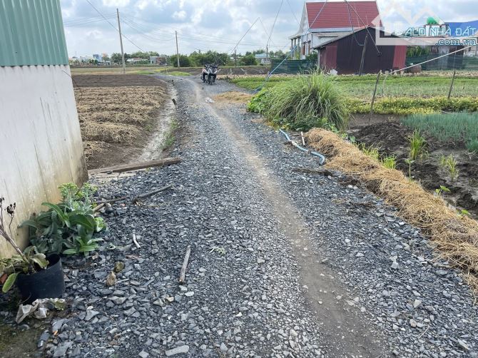 Bán 1800m2 vườn có 130m thổ cư xã Long Trạch, Cần Đước