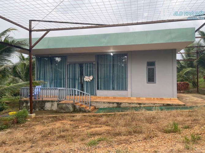 B.án 7300m2.+3000m2 giấy tay. Tc (1 ha). Có 300m2 Thổ Cư. Với 54m Mặt Tiền Đường Bê Tông. - 10