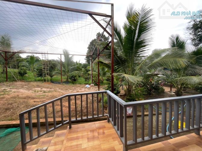B.án 7300m2.+3000m2 giấy tay. Tc (1 ha). Có 300m2 Thổ Cư. Với 54m Mặt Tiền Đường Bê Tông. - 11